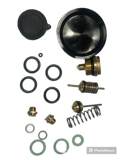 bi1011504 biasi 24s 28s diverter valve repair kit complete brand new